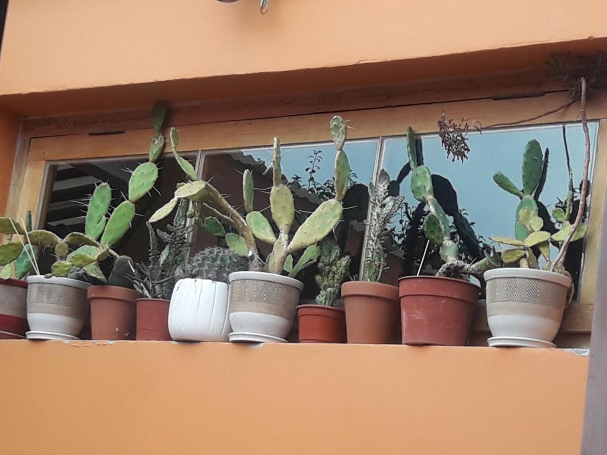 Apartmán La Biblioteca Olavarría Exteriér fotografie